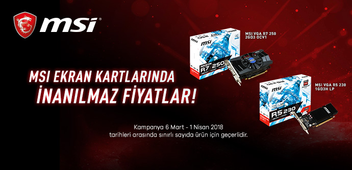 MSI Ekran Kartı